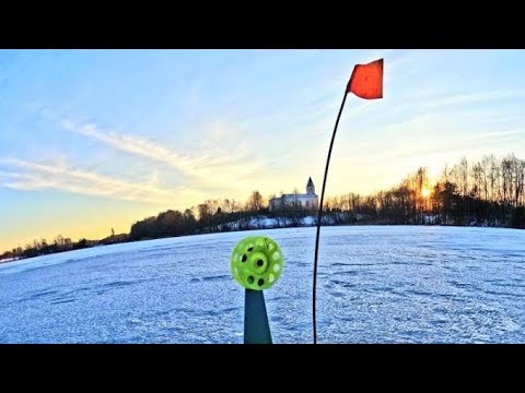 Видео: ВОТ ЭТО МОНСТР!!ПОПАЛИ НА ЖОР ЩУКИ.ЗИМНЯЯ РЫБАЛКА НА ЩУКУ.РЫБАЛКА В ЛАТГАЛИИ