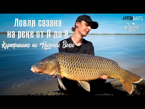 Видео: Ловля сазана на реке от А до Я. Карпфишинг на Нижней Волге