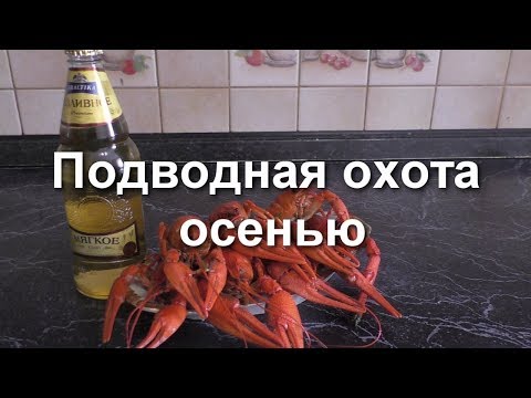 Видео: Подводная охота на Ингуле