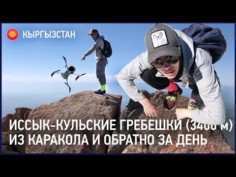 Видео: Иссык-Кульские Гребешки (3400 м). Однодневный трекинг из Каракола и обратно.