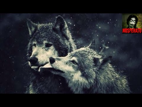 Видео: ЛЕГЕНДА О ВОЛКЕ И ВОЛЧИЦЕ. Стих. ДО СЛЕЗ...