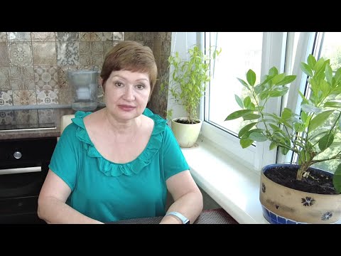 Видео: ЧТО БЫ ТАКОГО СЪЕСТЬ, ЧТОБЫ СКИНУТЬ 3-5 КГ ЗА  НЕДЕЛЮ/ Блоки в голове/ Беларусь/ Минск/Влог