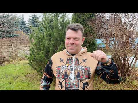 Видео: 282-й выпуск "В кольце друзей"