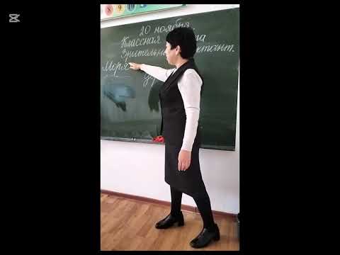 Видео: 8 декабря 2024 г.