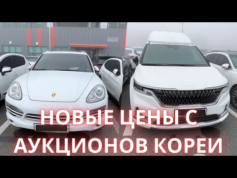 Видео: АВТО ИЗ КОРЕИ. АКТУАЛЬНЫЕ ЦЕНЫ НА АУКЦИОНЕ AUTO HUB