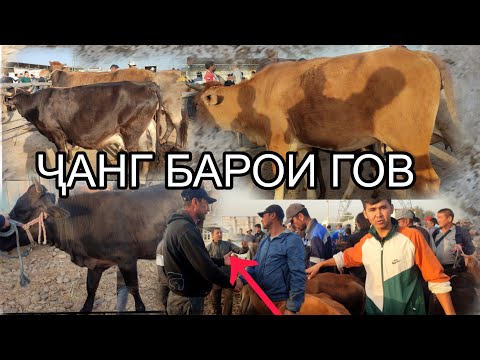 Видео: МОЛ БОЗОРИ НОХИЯИ ДУСТИ БОЗОРИ БАРАКАТ ❗ 18.09.24