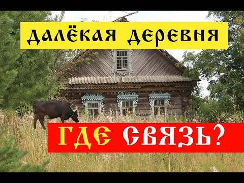 Видео: Старинная деревня в лесу. Самая дальняя жилая деревня Чухломского района. Костромская область