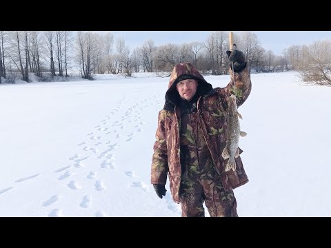 Видео: ЩУКА на Жерлицы в глухозимье!!!