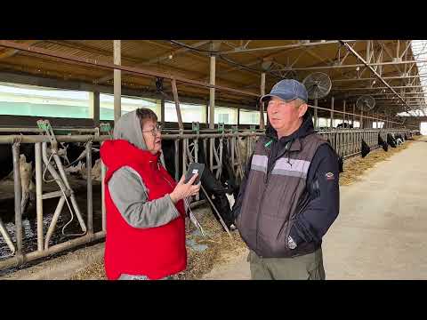 Видео: КАЗБИОСИЛ. Сүрлем (силос) басу. Алматы облысы "Генофонд" Ғылыми-өндірістік орталығы (1-бөлім)