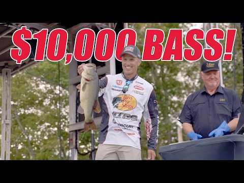 Видео: Я поймал окуня за 10 000 долларов на турнире Ultimate Angler Tournament