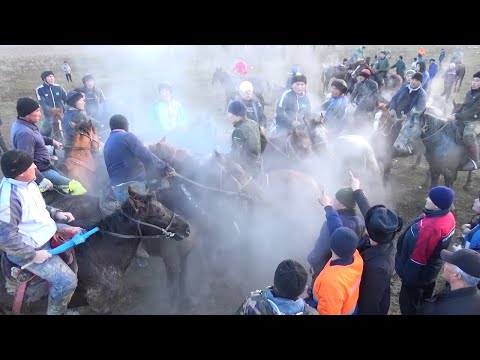 Видео: Қопашовтар әулеті Ас көкпар Арыс ауданы