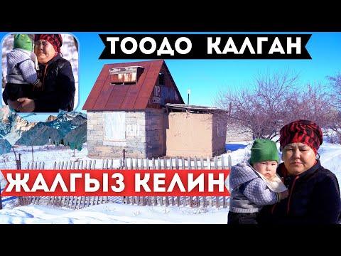 Видео: Жалгыз аялды кимдер коркутту?