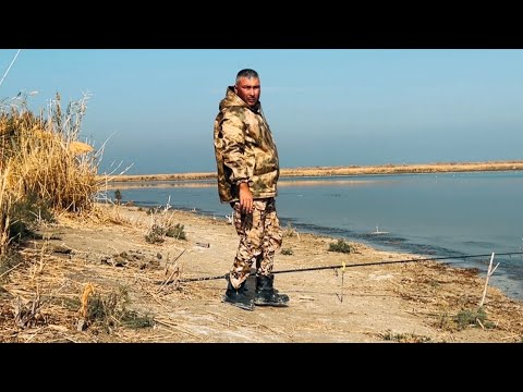 Видео: Арнасай — рыба отдыхает, а мы живём по кайфу!☺️👍