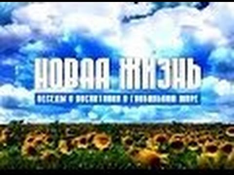 Видео: Смешанный район. "Новая жизнь", передача 258
