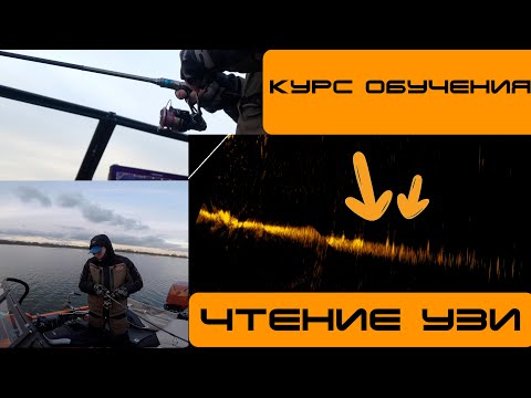 Видео: Вечерний выезд на рыбалку с Active Target. Основы поиска и ловли с технологией Live Sonar.