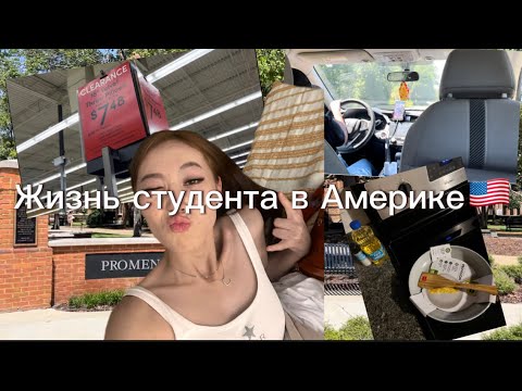 Видео: Жизнь студента в Америке/ переехала одна в США/ жизнь в Америке/ как студенты живут в Америке