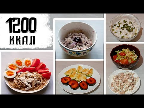 Видео: МЕНЮ НА 1200 ккал в день / Дневник питания на ПП