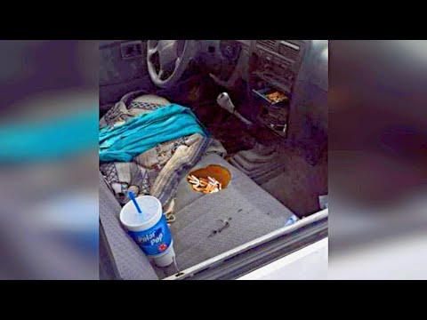 Видео: Подборка ЖЕСТЬ на СТО №103 ✅ ВЕРНУЛИСЬ ЗА КЛИРЕНСОМ!!! ЧЕМ-ТО ВОНЯЕТ В НОВОМ МЕРСЕДЕСЕ!!!