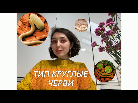 Видео: Урок "Тип Круглые черви" - ЦТ, ЕГЭ, ЗНО