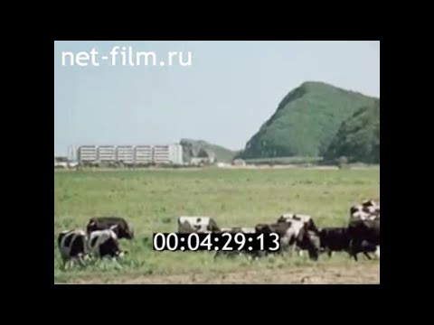 Видео: 1982г. Дальнегорск. "Дальполиметалл". химкомбинат "Бор". совхоз.  Приморский край