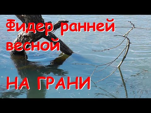 Видео: Ловля не активной рыбы ранней весной на фидер. Рыбалка на грани. Плотва на замерзающем водоеме
