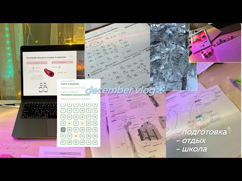 Видео: study diary: декабрьский влог / подготовка к егэ зимой