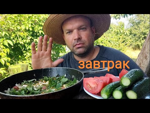 Видео: МУКБАНГ ЯИЧНИЦА с колбасой и капустой/ОБЖОР завтрак дачный