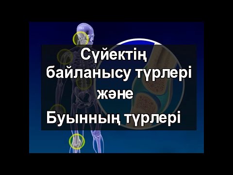 Видео: Буынның түрлері
