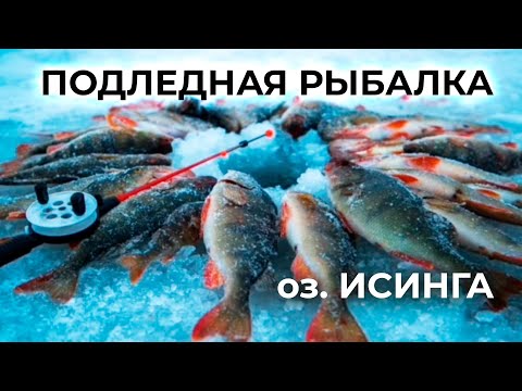 Видео: Подледная рыбалка на озере Исинга в Бурятии