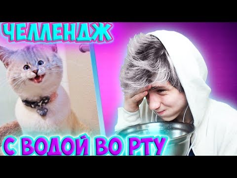Видео: САМОЕ СМЕШНОЕ ВИДЕО В МИРЕ |ПОПРОБУЙ НЕ ЗАСМЕЯТЬСЯ С ВОДОЙ ВО РТУ ЧЕЛЛЕНДЖ|ТЕСТ НА ПСИХИКУ CHALLENGE