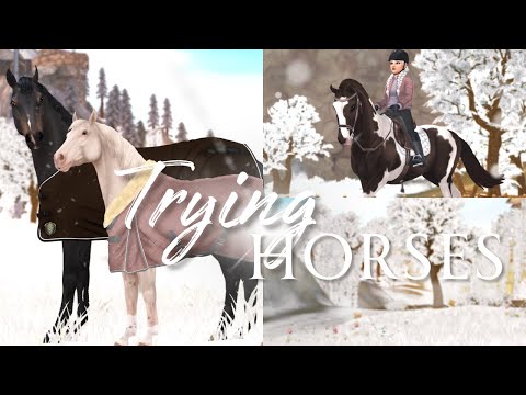 Видео: Пробую лошадей! II В поисках следующего участника! II Рекомендуемая розничная цена SSO