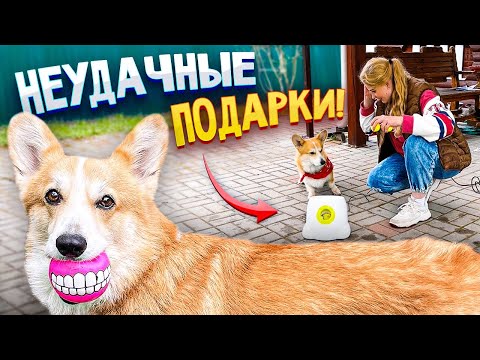 Видео: Распаковка с корги Бентли! Бесполезные игрушки для питомцев?