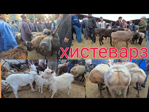 Видео: МОЛБОЗОРИ ХИСТЕВАРЗ НАРХИ ГУСФАНД   24 октября 2025 г. 