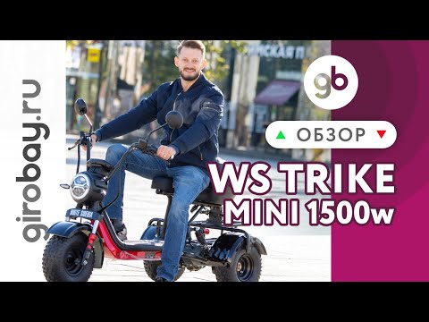 Видео: Электроскутер WHITE SIBERIA TRIKE MINI 1500W - тяговитый помощник в хозяйстве. Уникальный скутер!