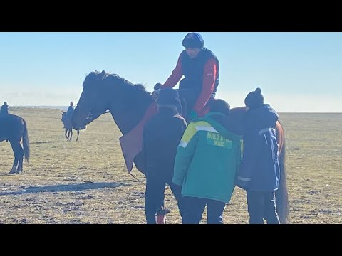 Видео: Торебековте аулети Асан агамыздын елден бата алу кокпары 14 12 2022 Келес ауданы Ашыкөл ауылы