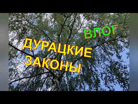 Видео: Влог 😇Дурацкие законы👩‍⚖️ Резкое похолодание+5 🥶Обзор огорода