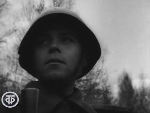 Видео: Страницы Сталинградской битвы. 3 серия. Дни и ночи (1968)