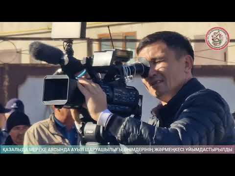 Видео: 26 октября 2025 г.