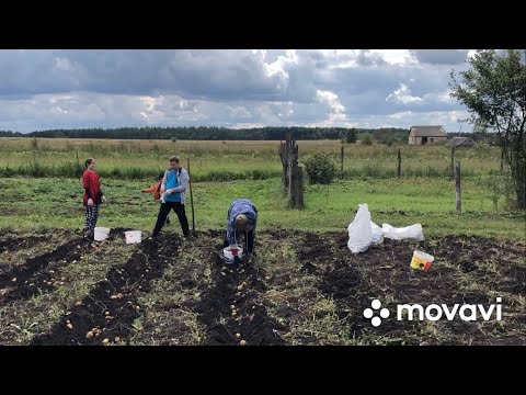 Видео: 😊Приехал отдыхать! А тут заставили работать 😳