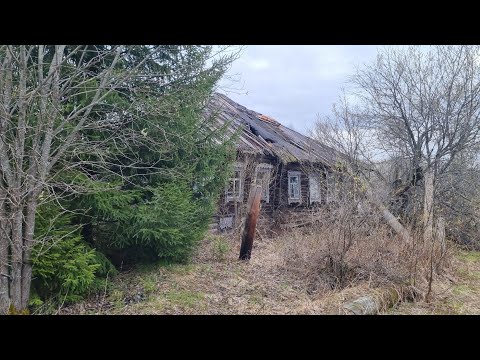 Видео: Нежилая деревня Скородумово