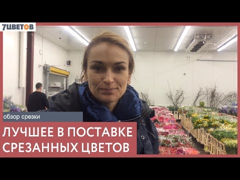 Видео: Лучшее в поставке цветов от 21.07 - торговый день в компании 7ЦВЕТОВ