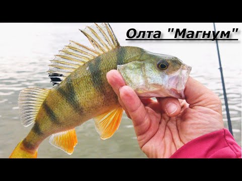 Видео: НЕ обзор. Олта "Магнум" 3-15. Береговой дальнобойный спиннинг для спорта и не только.