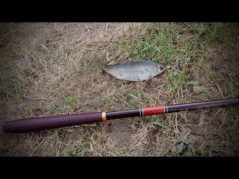 Видео: Дикий клёв некрупной рыбы на Десне