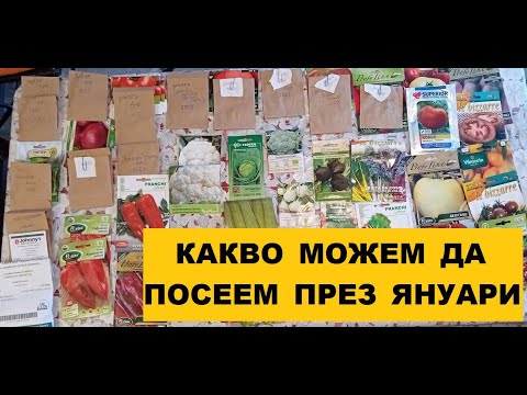 Видео: Какво може да се посее през януари - моят опит