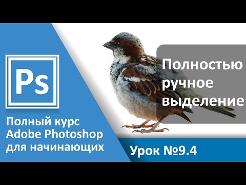 Видео: Урок 9.4 - Выделение. Быстрая маска. Перо | Graphic Hack