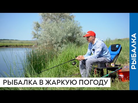 Видео: Рыбалка на фидер в летнюю жару