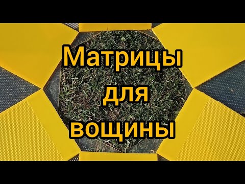 Видео: Вощина для пчел
