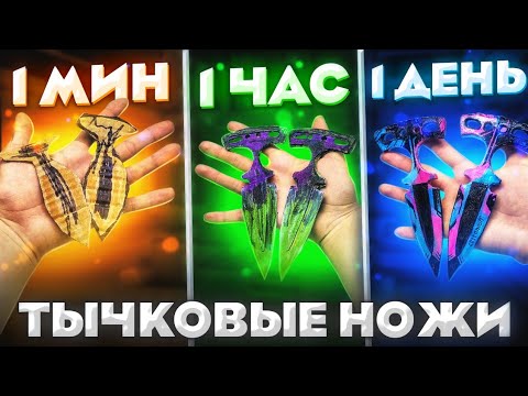 Видео: 1 МИНУТА vs 1 ЧАС vs 1 ДЕНЬ ТЫЧКИ