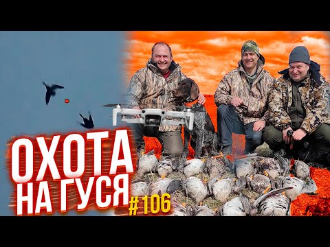 Видео: №106 Раскрываю секреты. Охота на гуся весной 2021. Shotkam и дрон-коптер. Часть1.