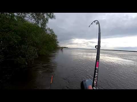 Видео: На сома  В любую воду  В любую погоду